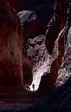 Thumbnail image of Rafters climbing up Shinumo Wash in Marble Gorge.