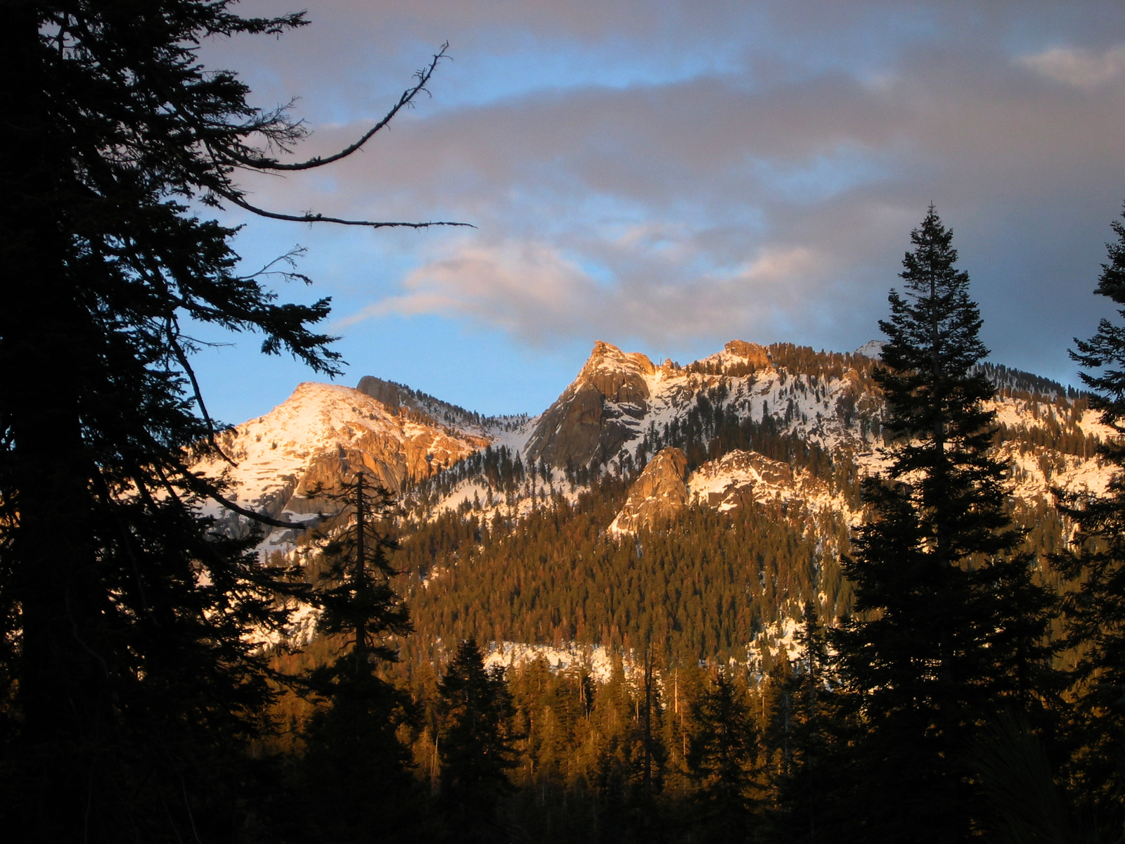 Mountains near Wuksachi Lodge: